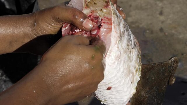 HandCut Fresh Fish  A Culinary Experience