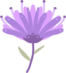 Flower-like Sea Aanimal