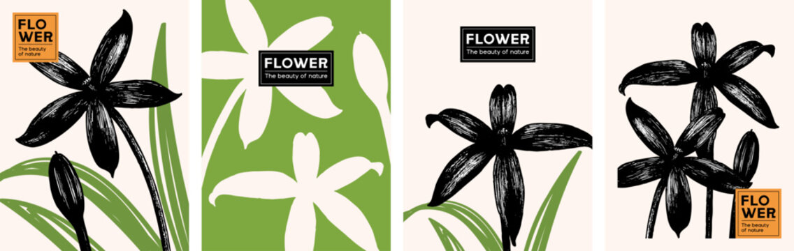 Flower and leaf illustration. Nature inspired vector design for poster, banner, card, art print, label, or book cover.