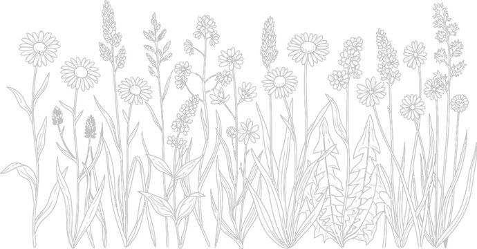 Minimalist black and white botanical illustration of a wild flower meadow border design