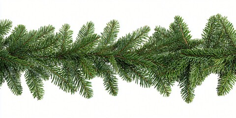 Obraz premium Isolated close-up of a green fir tree branch with needles, a festive evergreen Christmas decoration for the winter holiday season