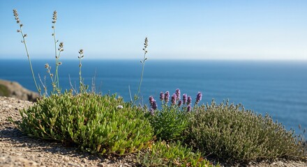Coastal Wildflowers and Greenery on a Cliff Overlooking the Sea.
