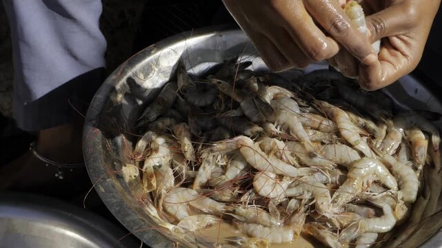 Effortlessly Prepare seafood with these expert tips  Learn the secret to perfect fish filleting