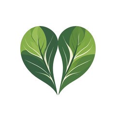 Two Green Heart Shaped Leaves Symbolizing Love and Nature on a White Background