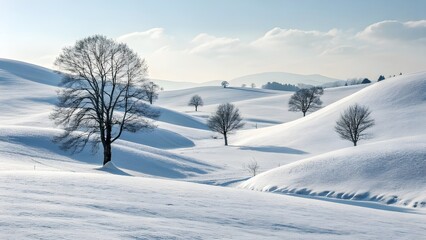 Obraz premium minimal snow landscape, soft rolling snowy hills, bright natural lighting, clean white winter scene, subtle shadow gradients, peaceful christmas mood 