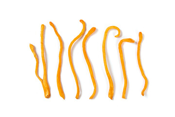 Golden cordyceps mushrooms isolated on white background.