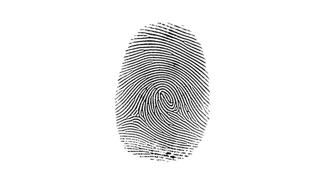 Isolated Black Fingerprint on White Background