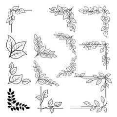 Fototapeta premium Stunning collection of elegant black and white botanical corner accents perfect for wedding invitations or vintage design