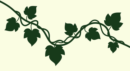 Ivy branch with leaves with transparent background