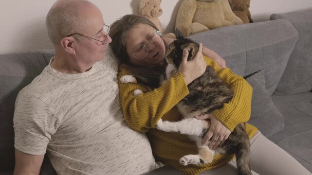 tender moment between cat owner and beloved tricolored pet captures pure unconditional love, genuine connection between Female domestic cat and owner, Human-animal bond