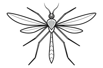 Mosquito Line Drawing Vector &ndash; Detailed Insect Outline Illustration for Science and Education