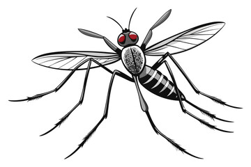 Mosquito Line Drawing Vector – Detailed Insect Outline Illustration for Science and Education