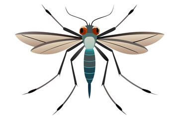 Mosquito Line Drawing Vector – Detailed Insect Outline Illustration for Science and Education