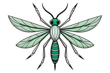 Mosquito Line Drawing Vector – Detailed Insect Outline Illustration for Science and Education