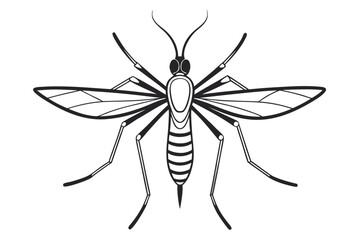 Mosquito Line Drawing Vector – Detailed Insect Outline Illustration for Science and Education