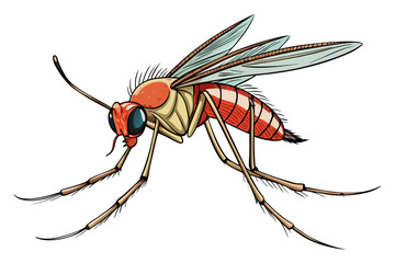 Mosquito Line Drawing Vector &ndash; Detailed Insect Outline Illustration for Science and Education