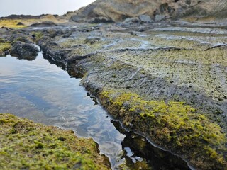moss covered rocks