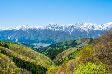 残雪の北アルプス　白馬村