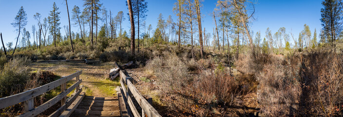 Panorama of the Special Interest Area Traverse Creek Crossing