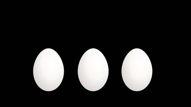 Two pristine white eggs elegantly contrasted against a stark and deep black background