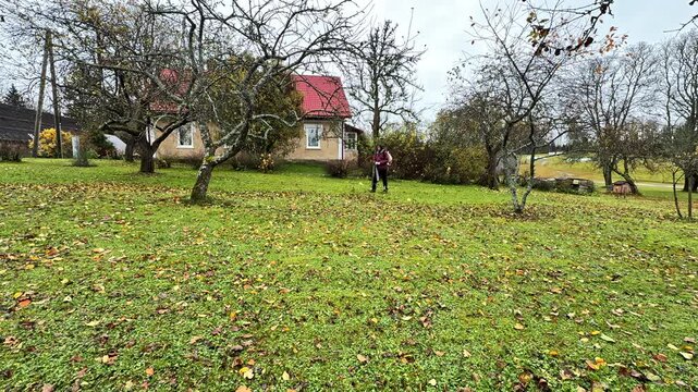 A Person Uses a Leaf Blower to Push Scattered Autumn Leaves Across a frea in Front of a Small House Surrounded by Bare Trees - Timelapse