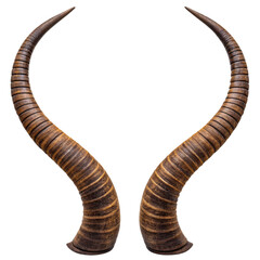  Pair of spiral antelope horns isolated on transparent 