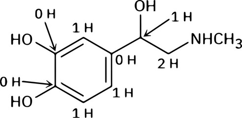 Fototapeta premium Organic Chemistry Molecular Formula Illustration