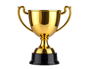 Gold Winner Trophy Cup with Elegant Handles.