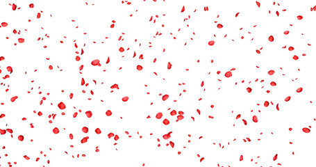 Red rose petals sway in the wind. Isolated on alpha background. 3D rendering.