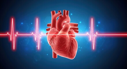 3D rendered human heart with red and blue color scheme, against a blue background with a heartbeat graphic.
