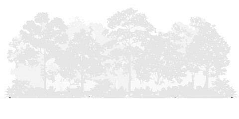 A grayscale silhouette of a dense forest with many evergreen trees