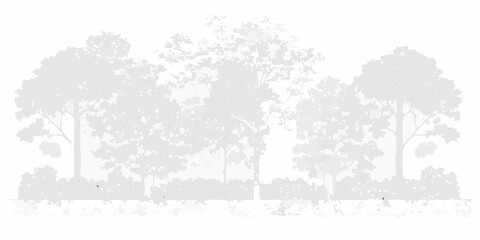 Silhouetted trees and a field of grass against a light background © Asit