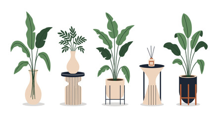 Fototapeta premium Row of five decorative houseplants in different pots stands in a bright space showcasing lush green leaves tall stems and a variety of stylish planters.
