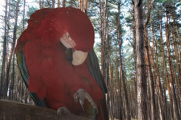 Fototapete bei efototapeten.de bestellen   