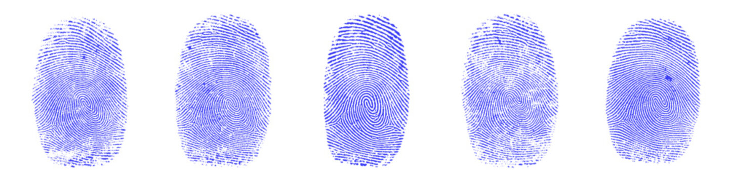 Realistic human fingerprint collection