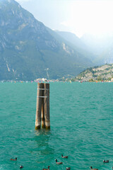 Holzpf&auml;hle als Anlegestelle f&uuml;r Boote am Ufer von Torbole sul Garda am Gardasee in Italien