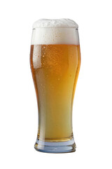 Fresh Golden Beer in a Tall Glass with Frothy Head