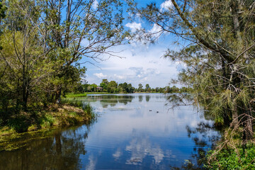 Fototapeta premium Harrington Park is a suburb of the Macarthur Region of Sydney in the state of New South Wales, Australia in Camden Council.