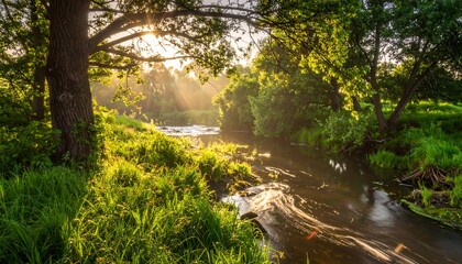 A serene river flows through lush greenery. Sunlight streams through the trees, illuminating the water and creating a golden glow
