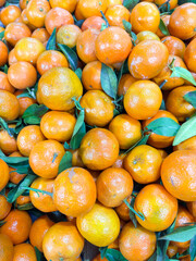Fresh Mandarin Oranges with Leaves, as background