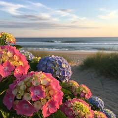 Colorful flowering bushes frame a view toward the ocean at sunset