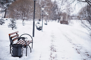 Naklejka premium Winter forest landscape. Tall trees under snow cover. January frosty day in the park.