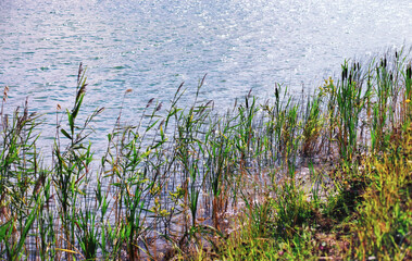Water surface. The texture of the water. Waves on the lake in windy weather.