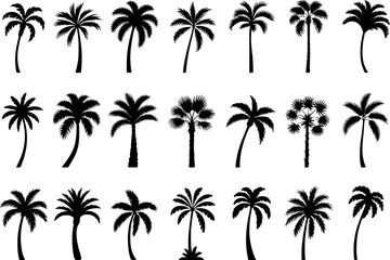 Diverse Silhouettes of Palm Trees on White Background