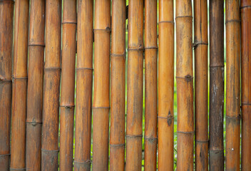 The bamboo stalks are a vibrant orange color.