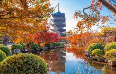 The most beautiful viewpoint of Toji(To-ji) is a popular tourist destination in Kyoto City, Japan.