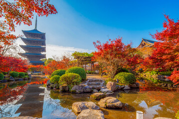 The most beautiful viewpoint of Toji(To-ji) is a popular tourist destination in Kyoto City, Japan.