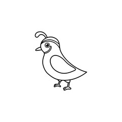 Quail outline cartoon illustration simple line art