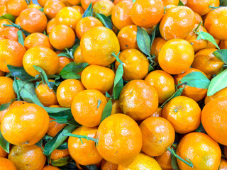 Fresh mandarin oranges fruit or tangerines with leaves, as background