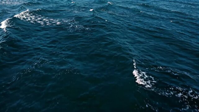 The undulating waves at sea